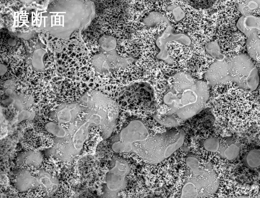 樱桃视频大全免费烧结管式膜电镜照片
